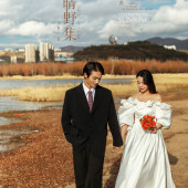 晴野集-海东树林海边