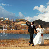 晴野集-海东树林海边