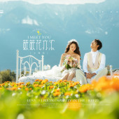 半山半岛-簌簌花亦浓