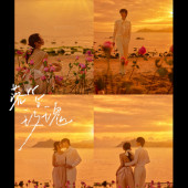 清水湾-落日玫瑰