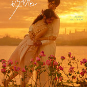 清水湾-落日玫瑰