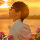 清水湾-落日玫瑰