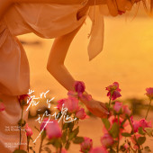 清水湾-落日玫瑰