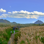 拉市海-和你的风和日丽