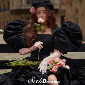 半山半岛-SEEK DREAMS