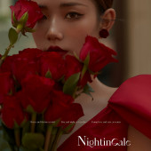 半山半岛-《夜莺与红玫瑰》￼