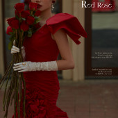 半山半岛-《夜莺与红玫瑰》￼