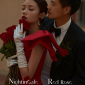 半山半岛-《夜莺与红玫瑰》￼