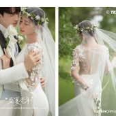 日月湾-氧気森林