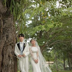 日月湾-氧気森林