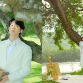 神州半岛-The Rainforest