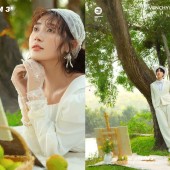 神州半岛-The Rainforest