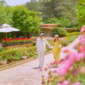 丽舍庄园-致爱丽丝