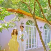 丽舍庄园-致爱丽丝