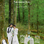 云杉坪-绿光森林