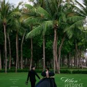 月半湾基地-翩若惊鸿