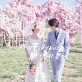 玫瑰庄园-四季予你