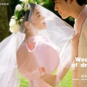 月半湾基地-梦中的婚礼