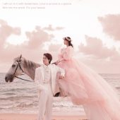 三亚湾-海边白马