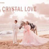 三亚湾-海边白马