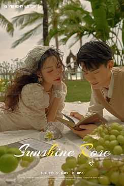 月半湾基地-阳光玫瑰