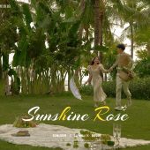 月半湾基地-阳光玫瑰