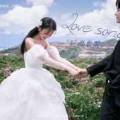 半山半岛-白樱恋歌