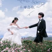 半山半岛-白樱恋歌