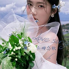 半山半岛-白樱恋歌