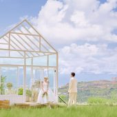 半山半岛-花间集