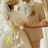 丽舍庄园-野蔷薇