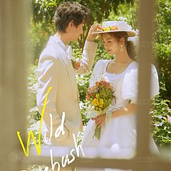 丽舍庄园-野蔷薇