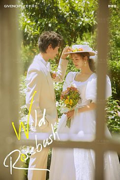 丽舍庄园-野蔷薇