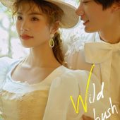 丽舍庄园-野蔷薇