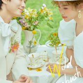 丽舍庄园-野蔷薇