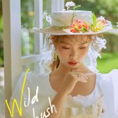 丽舍庄园-野蔷薇