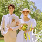 丽舍庄园-野蔷薇