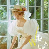 丽舍庄园-野蔷薇