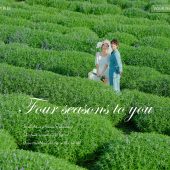 玫瑰庄园-四季予你