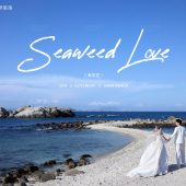 蜈支洲岛-海芋恋