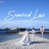 蜈支洲岛-海芋恋