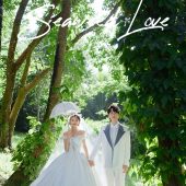 蜈支洲岛-海芋恋