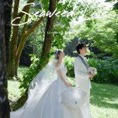 蜈支洲岛-海芋恋