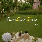 月半湾基地-阳光玫瑰