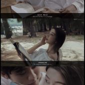 呆呆岛-故事里的妳