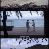 呆呆岛-故事里的妳