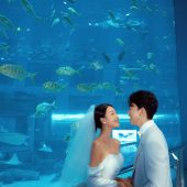 海洋馆-海洋之心