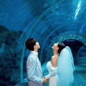 海洋馆-海洋之心