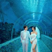 海洋馆-海洋之心