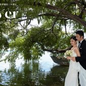 洱海堤畔-深陷你